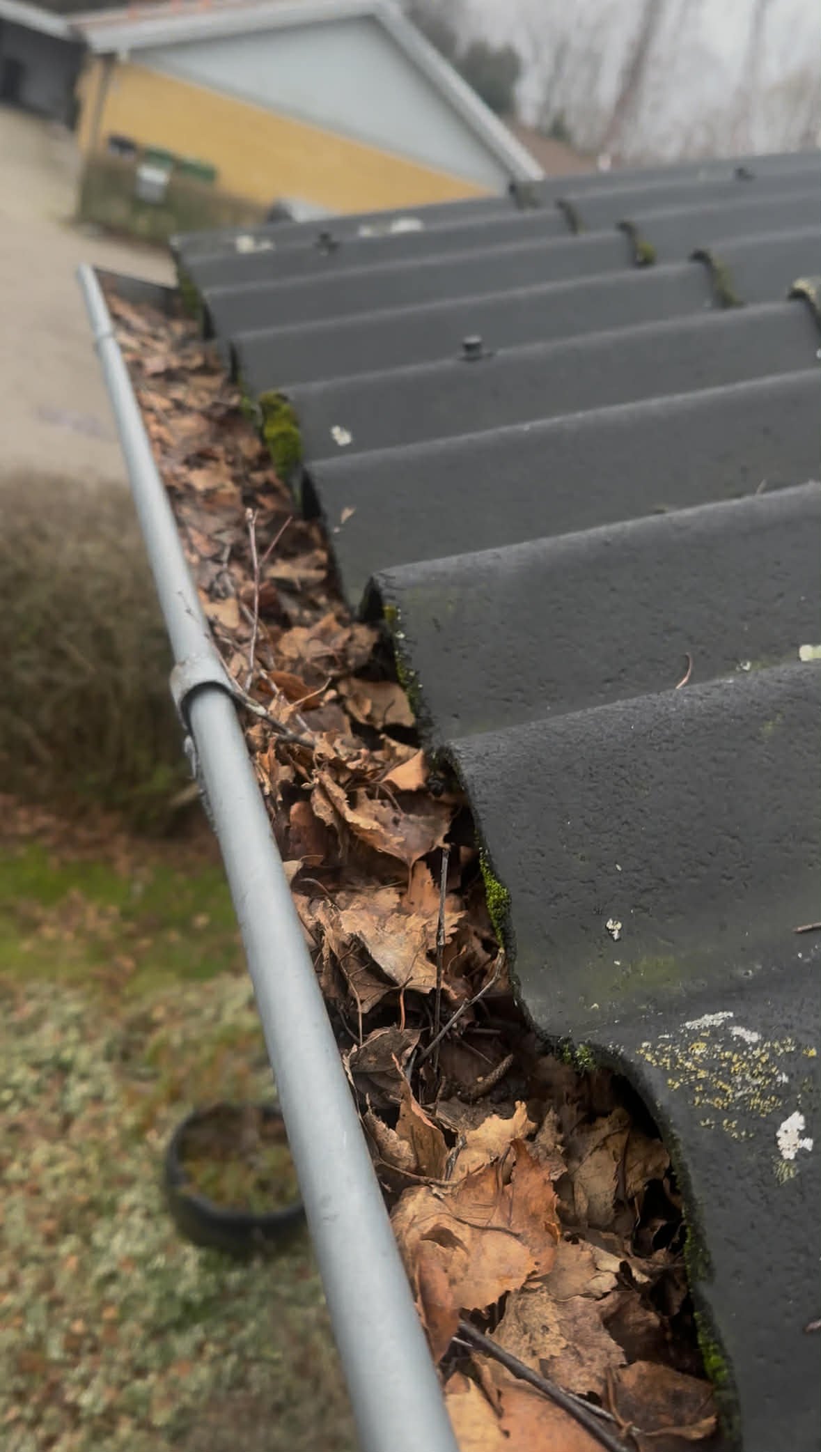 att.FkbfFlaF2dl5iQs7G9prUzD4o6g63ApajnjBptSZuUo