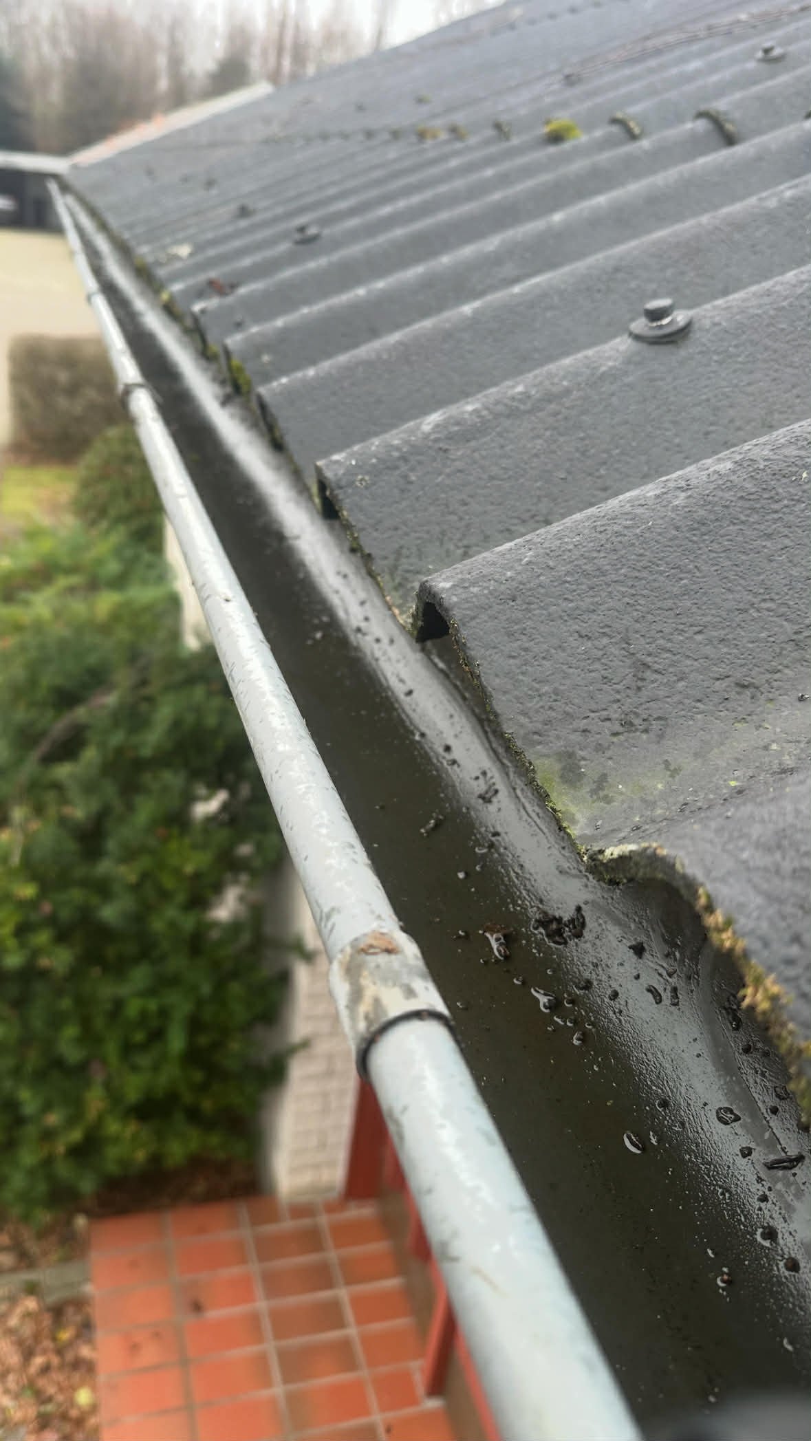 att.Mt2w2eWtqoShTSK3kXG18uaS-HahqtJIZOBTvwLhN3E